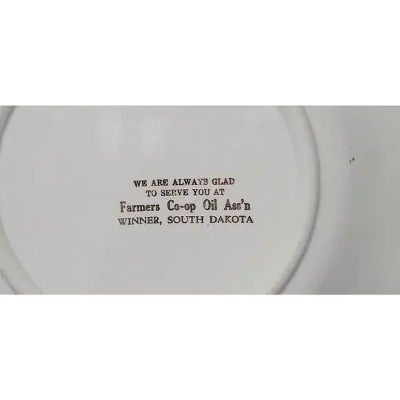 Salem China Company RAREVtg SERVING PLATTER Winner, SD Stamped Embroider Floral - Picture 4 of 9
